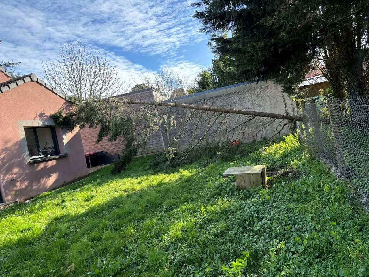 Abattage d’arbre tombé lors de la tempête à Basse-Indre