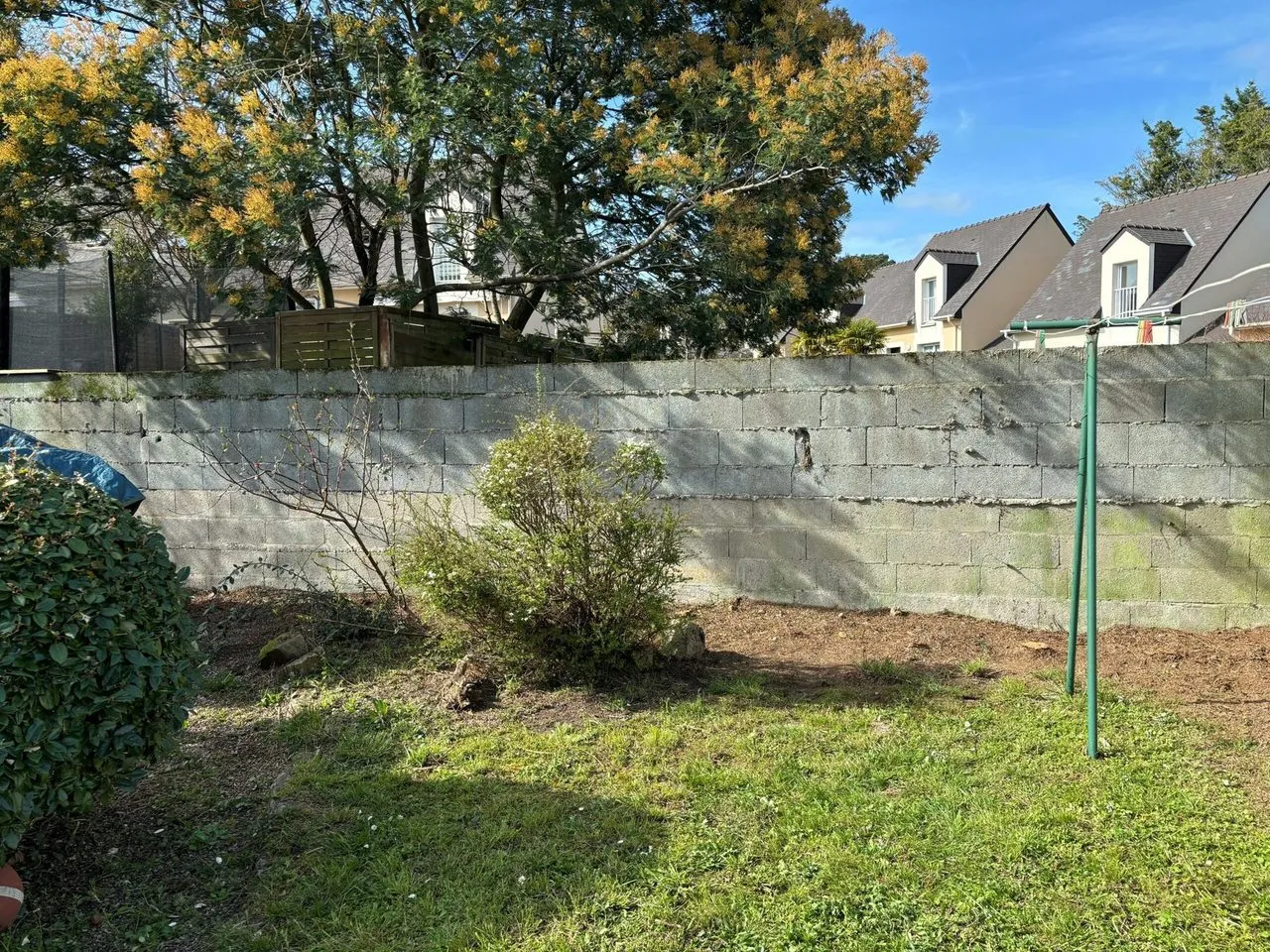 Dessouchement de haie de thuya à Saint-Étienne-de-Montluc