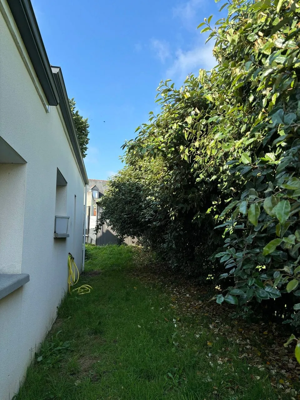 Taille de haie d’eleagnus pour une remise en forme à Couëron